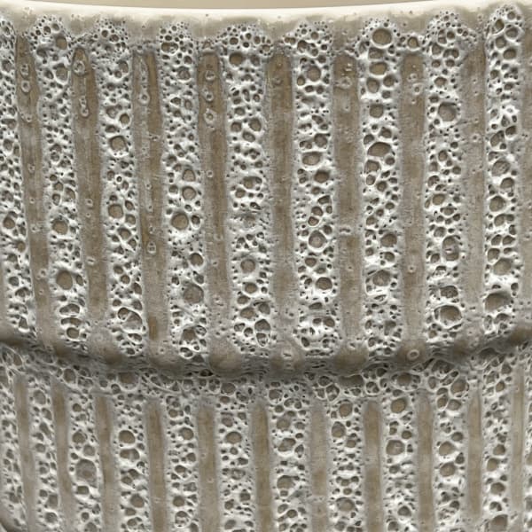 ソル：ラインM　ホワイト4436（直径12.5cm）・皿付