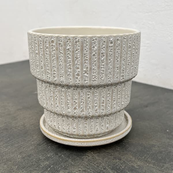 ソル：ラインL　ホワイト4435（直径14cm）・皿付