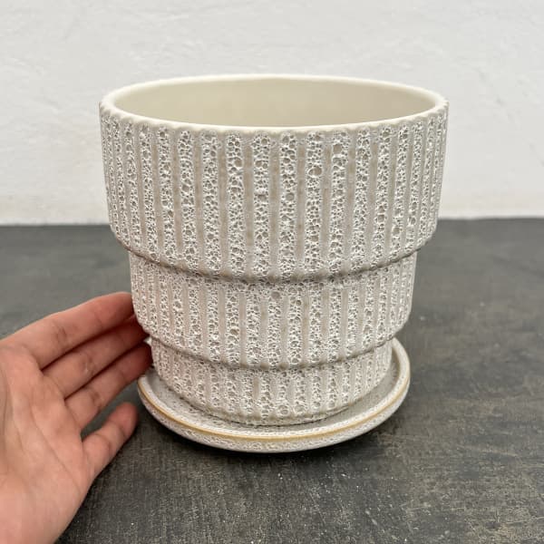 ソル：ラインL　ホワイト4435（直径14cm）・皿付