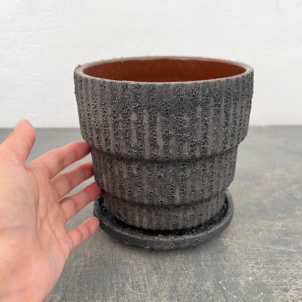 ソル:ラインL グレー4441(直径14cm)・皿付