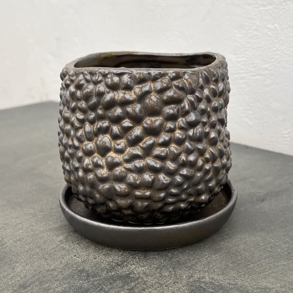 ソル：ジャックS　ブロンズ4475（直径13.5cm）・皿付