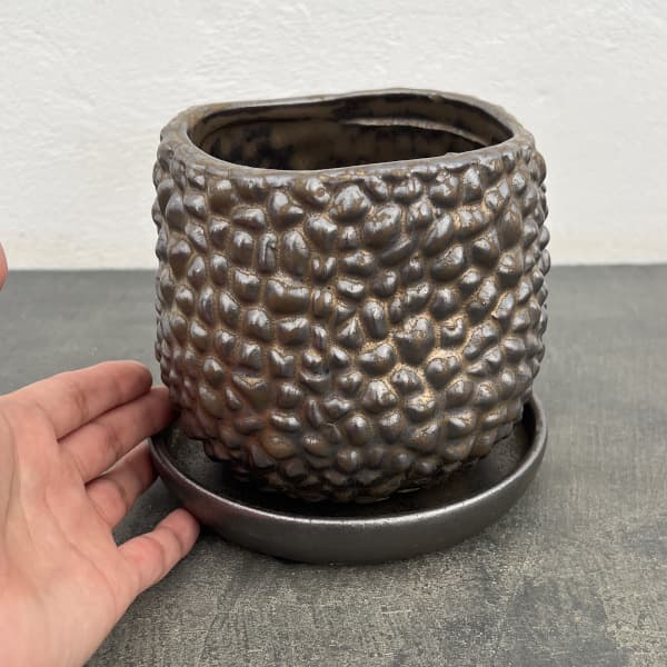 ソル：ジャックS　ブロンズ4475（直径13.5cm）・皿付