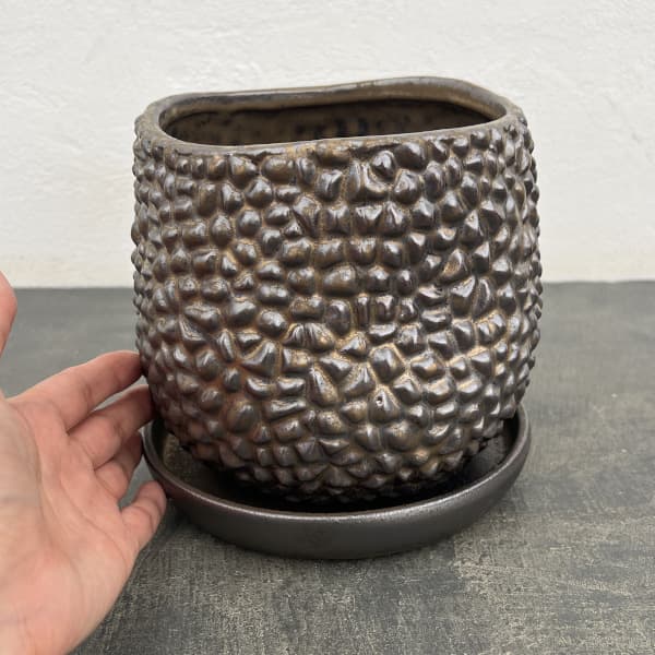 ソル：ジャックM　ブロンズ4476（直径16cm）・皿付
