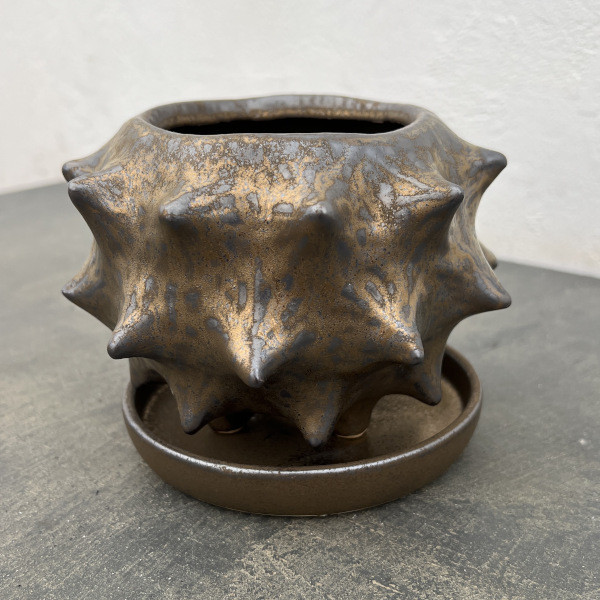ソル：スターM　ブロンズ4482（直径14cm）・皿付