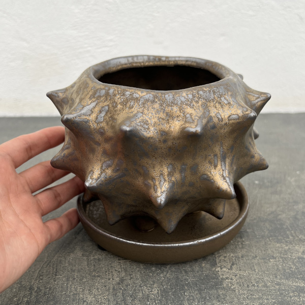 ソル：スターM　ブロンズ4482（直径14cm）・皿付