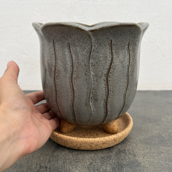 ソル：リップM　グレー4126（直径15cm）・皿付