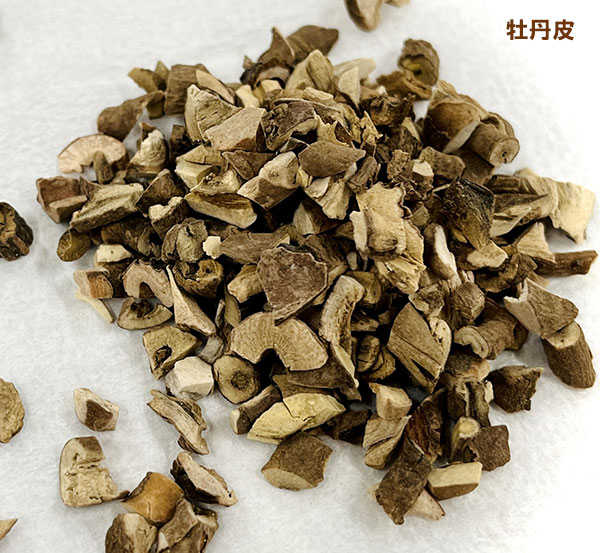 中国原種牡丹(ぼたん):薬用牡丹 鳳丹4号ポット