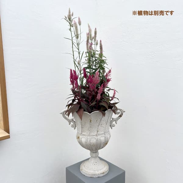 アンティークメタルプランターPLI:盃型 直径25.5cm×高さ37cm シルバーホワイト(F24B5217)