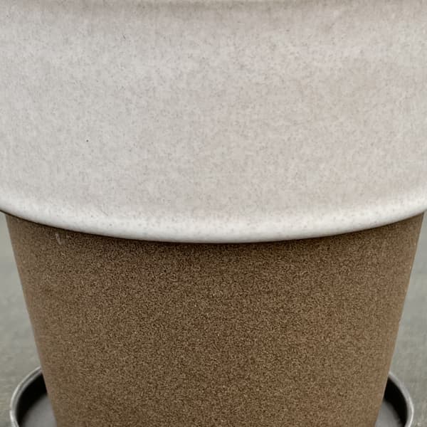 リムカラープランター120（直径約12.2cm）ホワイト・受け皿付き