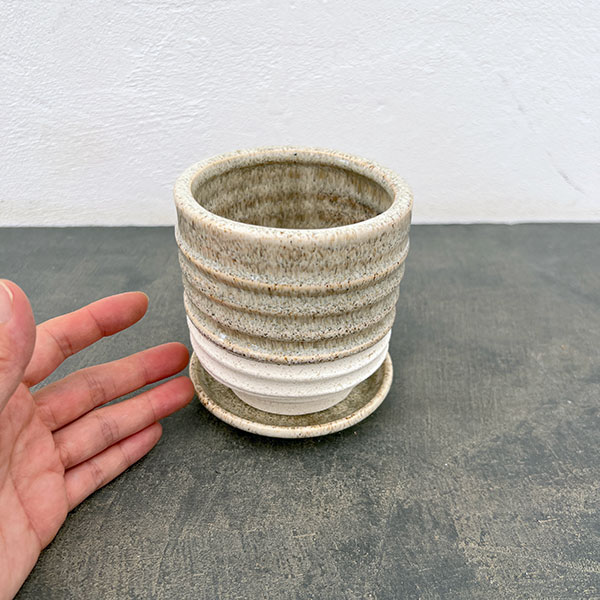 スパイラル ポット アンド ソーサー:ベージュ/Sサイズ(直径10.3cm、高さ11.4cm)