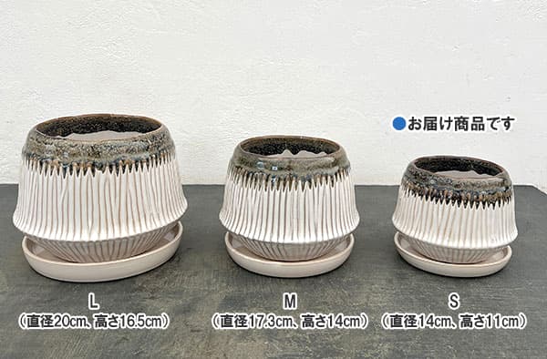 フラスタム ポット アンド ソーサー:Sサイズ(直径14cm、高さ11cm)