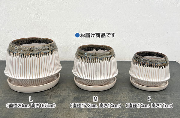 フラスタム ポット アンド ソーサー:Mサイズ(直径17.3cm、高さ14cm)