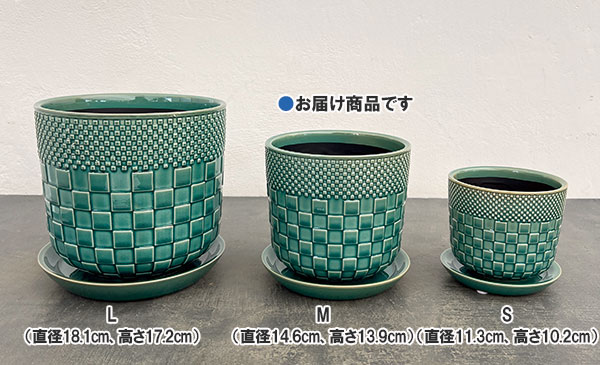 プラッド ポット アンド ソーサー:グリーン/Mサイズ(直径14.6cm、高さ13.9cm)