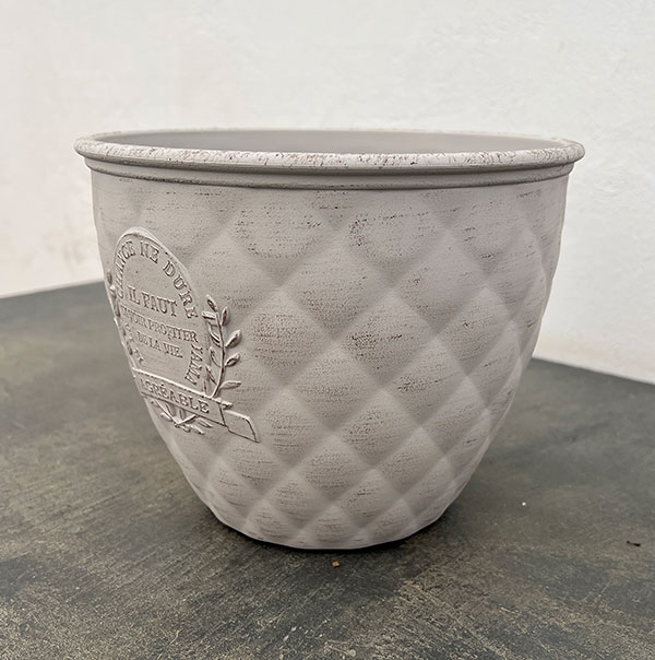 やっちゃんねる×見元園芸×園芸ネット2025秋コラボ：見元ビオラやっちゃん命名3種セット