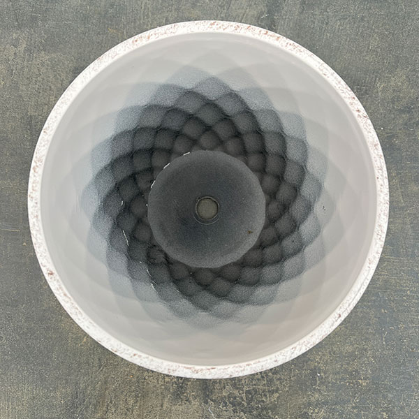 やっちゃんねる×見元園芸×園芸ネット2025秋コラボ：見元ビオラやっちゃん命名3種セット