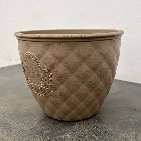 やっちゃんねる×見元園芸×園芸ネット2025秋コラボ：見元ビオラやっちゃん命名3種セット