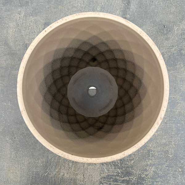 やっちゃんねる×見元園芸×園芸ネット2025秋コラボ：見元ビオラやっちゃん命名3種セット