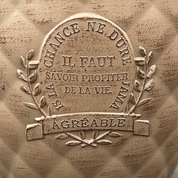 やっちゃんねる×見元園芸×園芸ネット2025秋コラボ：見元ビオラやっちゃん命名3種セット