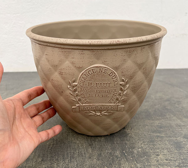 やっちゃんねる×見元園芸×園芸ネット2025秋コラボ：見元ビオラやっちゃん命名3種セット