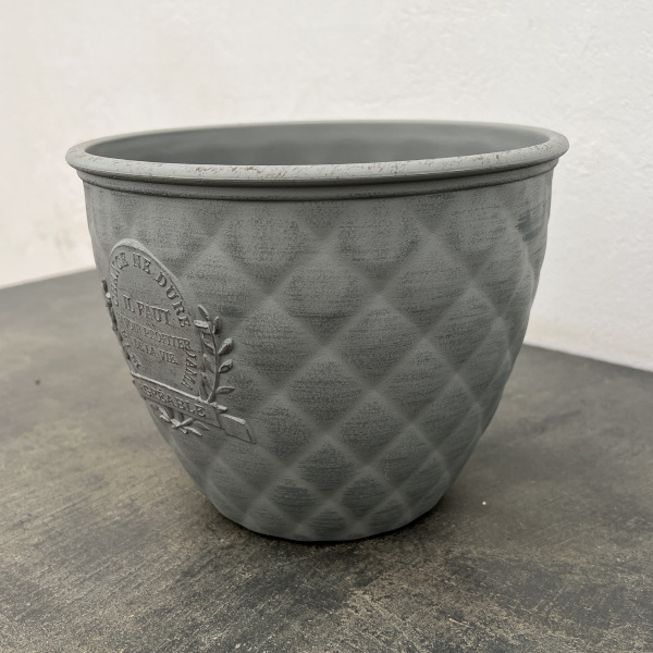 やっちゃんねる×見元園芸×園芸ネット2025秋コラボ：見元ビオラやっちゃん命名3種セット