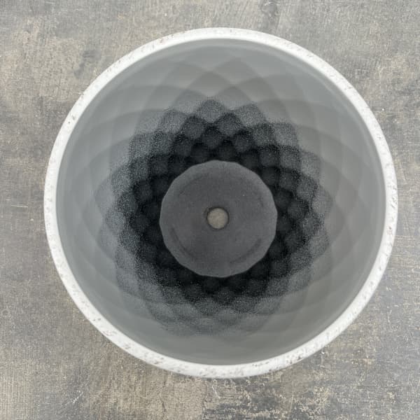 やっちゃんねる×見元園芸×園芸ネット2025秋コラボ：見元ビオラやっちゃん命名3種セット