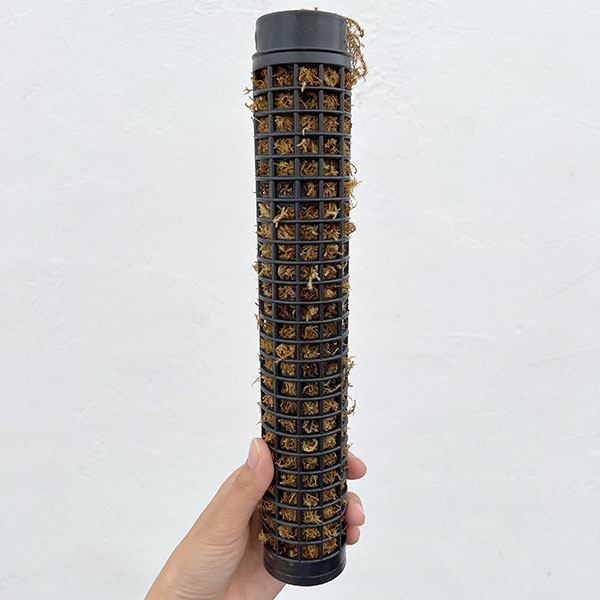 モスポール:黒(ミズゴケ付き)(長さ29cm)