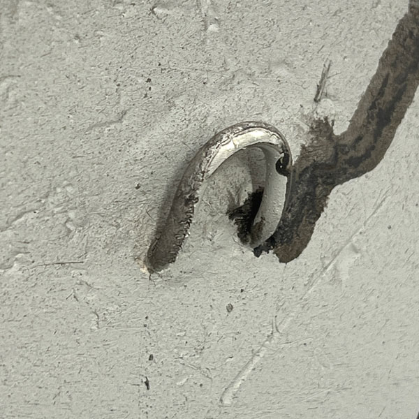 ガーデンプレートBスリーリトルバードGY  グレー／幅29cm（GFBPL08GY）