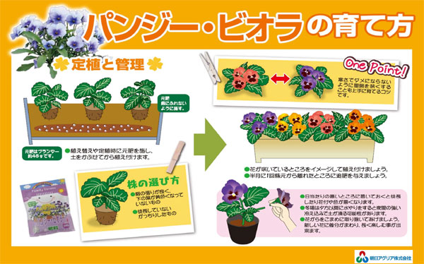 パンジービオラの肥料200グラム入り(8-8-5)