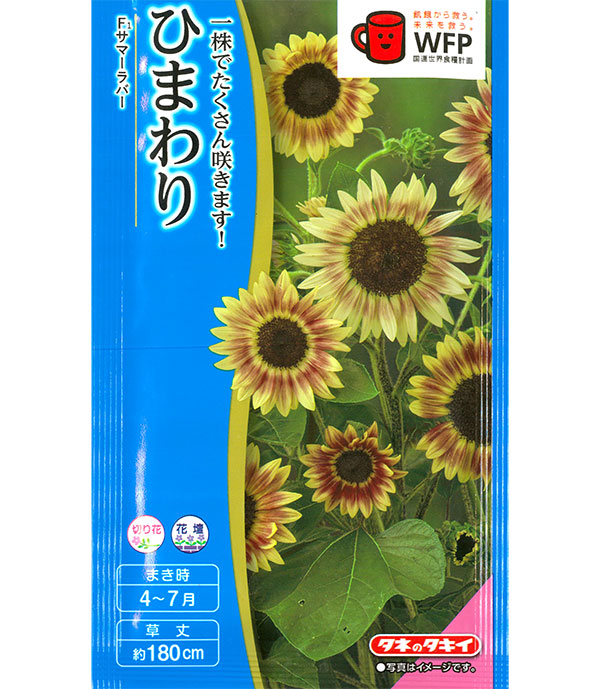 ヒマワリ：F1サマーラバー[春～夏まき タキイ 花タネ]