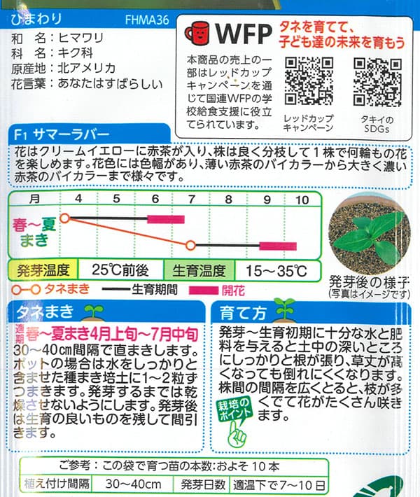 ヒマワリ：F1サマーラバー[春～夏まき タキイ 花タネ]