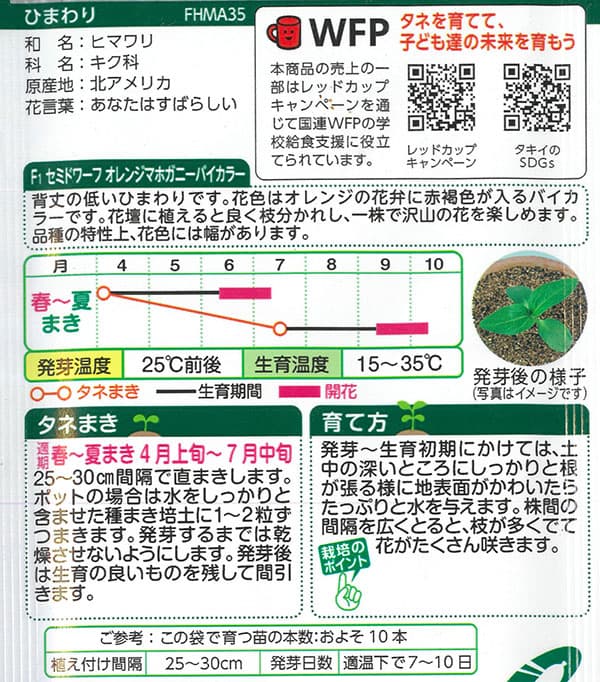 ヒマワリ：F1セミドワーフ オレンジマホガニーバイカラー[春～夏まき タキイ 花タネ]