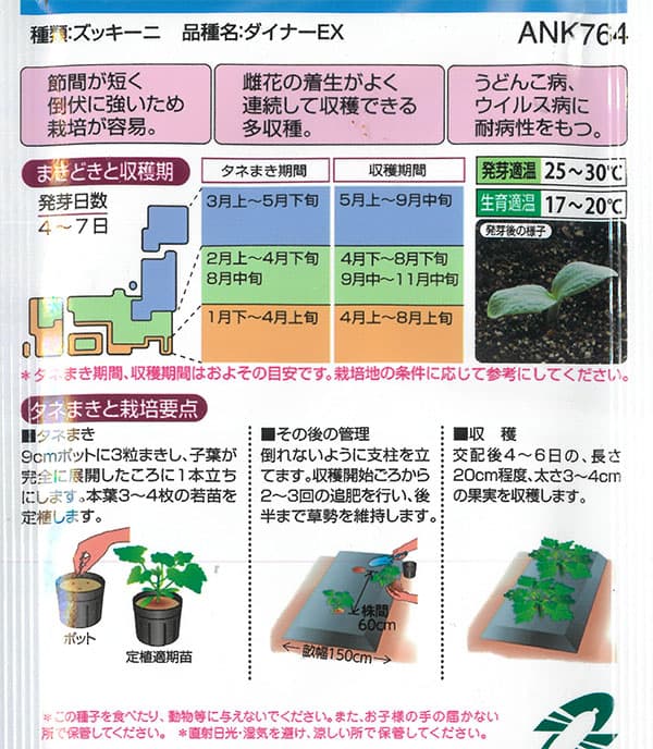 ズッキーニ：ダイナーEX[春まき タキイ 野菜タネ]