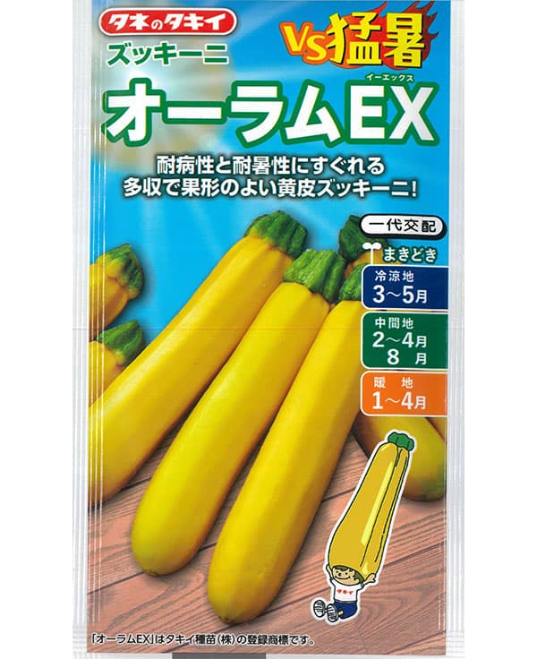 ズッキーニ：オーラムEX[春まき タキイ 野菜タネ]