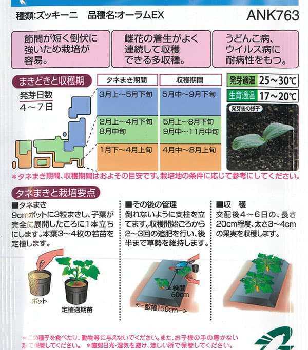 ズッキーニ：オーラムEX[春まき タキイ 野菜タネ]