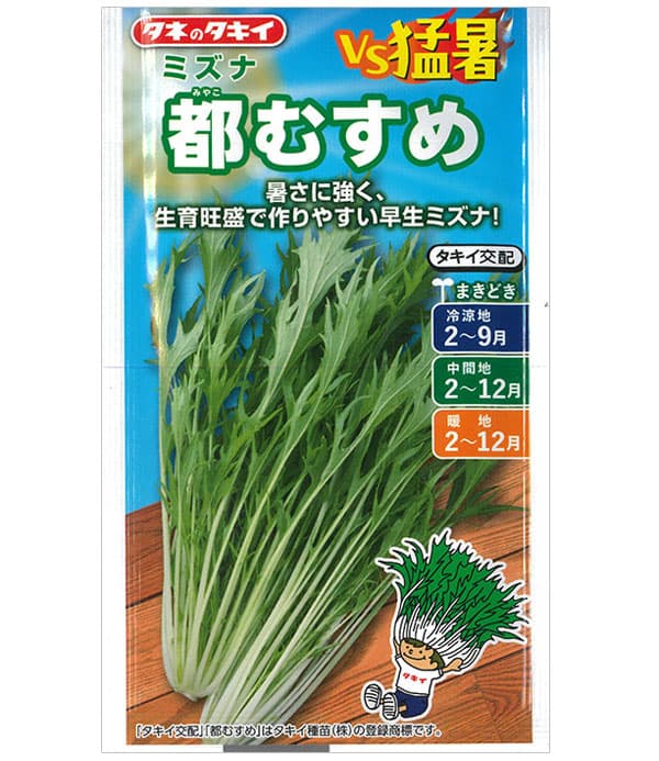 ミズナ：都むすめ（ミヤコムスメ）[水菜 タキイ 野菜タネ]