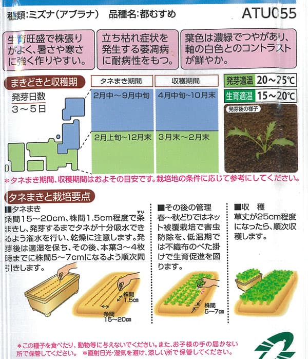 ミズナ：都むすめ（ミヤコムスメ）[水菜 タキイ 野菜タネ]