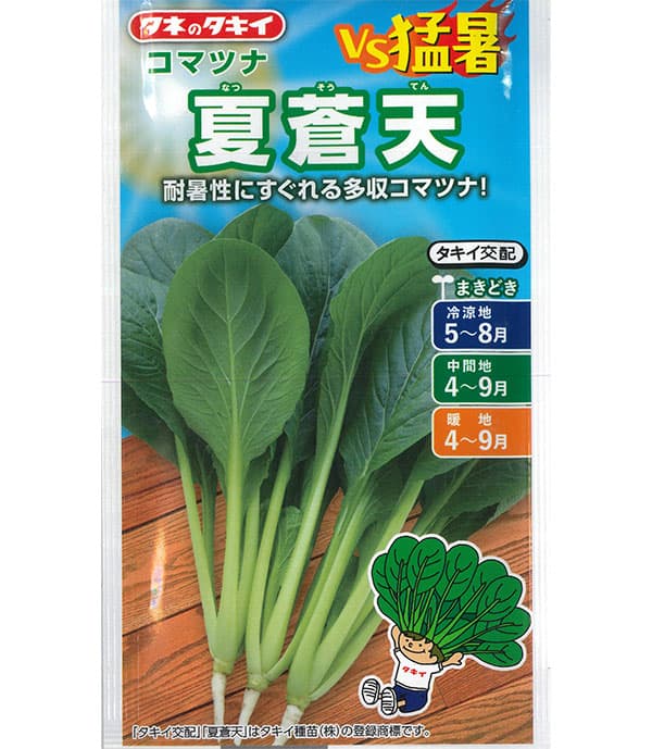 コマツナ：夏蒼天（ナツソウテン）[小松菜 タキイ 野菜タネ]