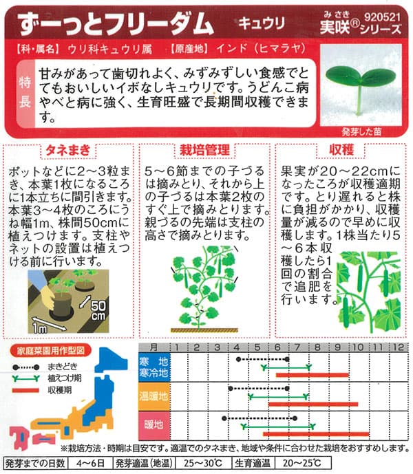 キュウリ：ずーっとフリーダム　の種[サカタ　野菜タネ　「おうち野菜」シリーズ]
