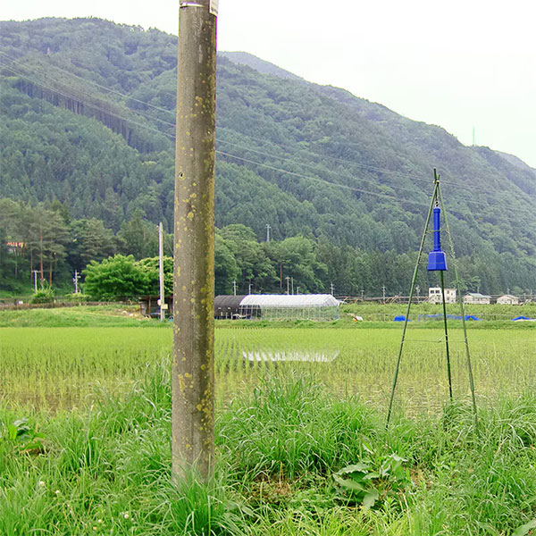 農作物被害対策器 イノシシびっくりDG505効果的セット（三脚支柱付）