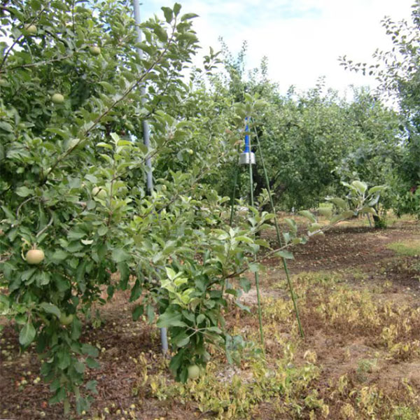 農作物被害対策器 鹿・けもの警報器 DG602効果的セット（三脚支柱付）