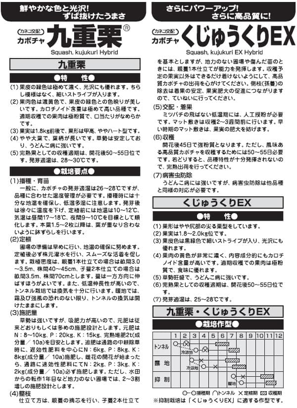 カボチャ：ホクホクおいしい 九重栗 [野菜タネ]*