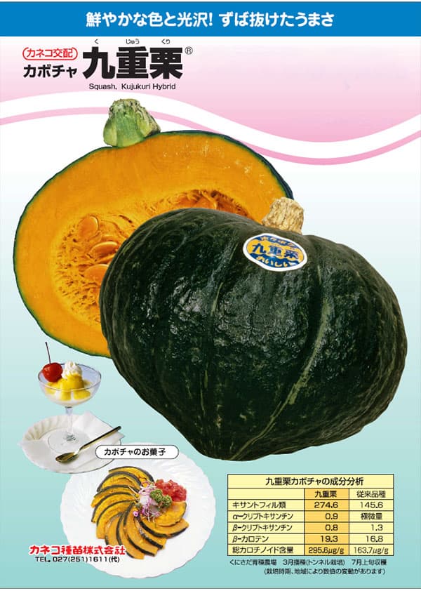 カボチャ：ホクホクおいしい 九重栗 [野菜タネ]*