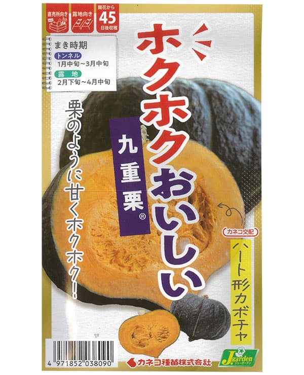 カボチャ：ホクホクおいしい 九重栗 [野菜タネ]*