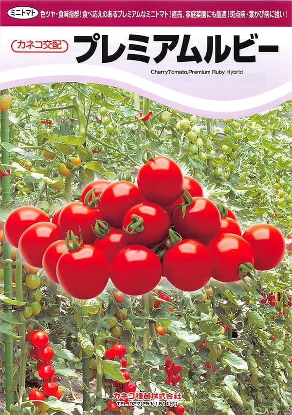 ミニトマト：甘い宝石 プレミアムルビー[野菜タネ]*