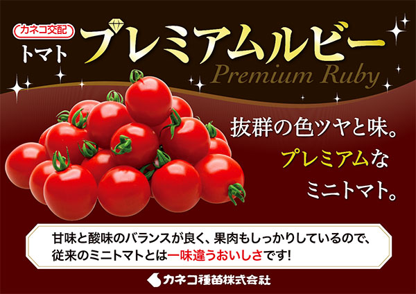 ミニトマト：甘い宝石 プレミアムルビー[野菜タネ]*