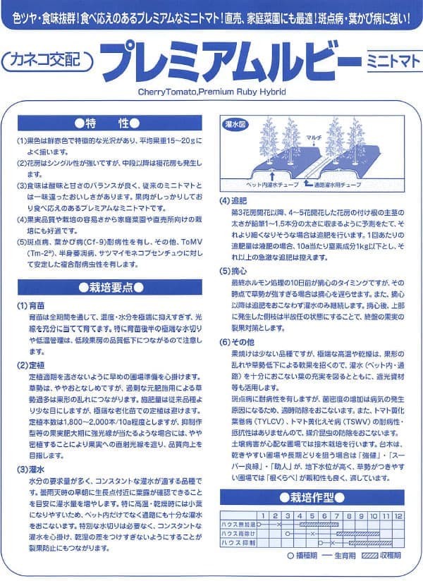 ミニトマト：甘い宝石 プレミアムルビー[野菜タネ]*