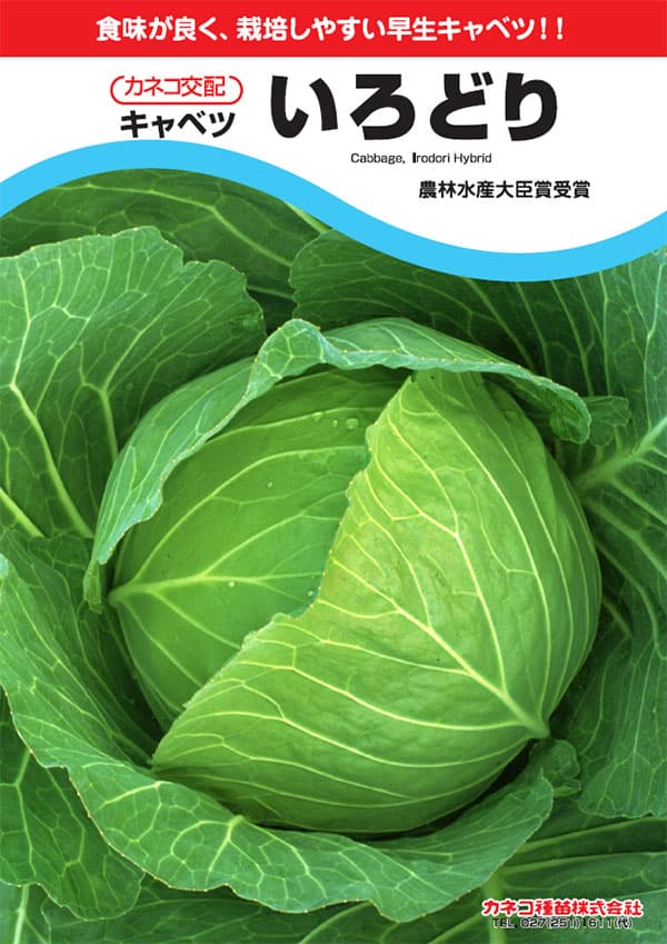 キャベツ：割れにくい やわうまキャベツ いろどり [春・夏まき 野菜タネ]*