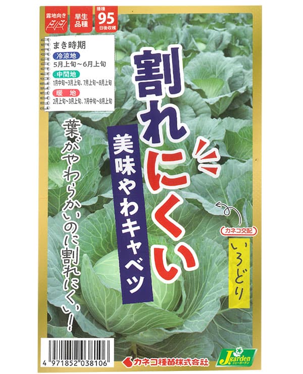 キャベツ：割れにくい やわうまキャベツ いろどり [春・夏まき 野菜タネ]*