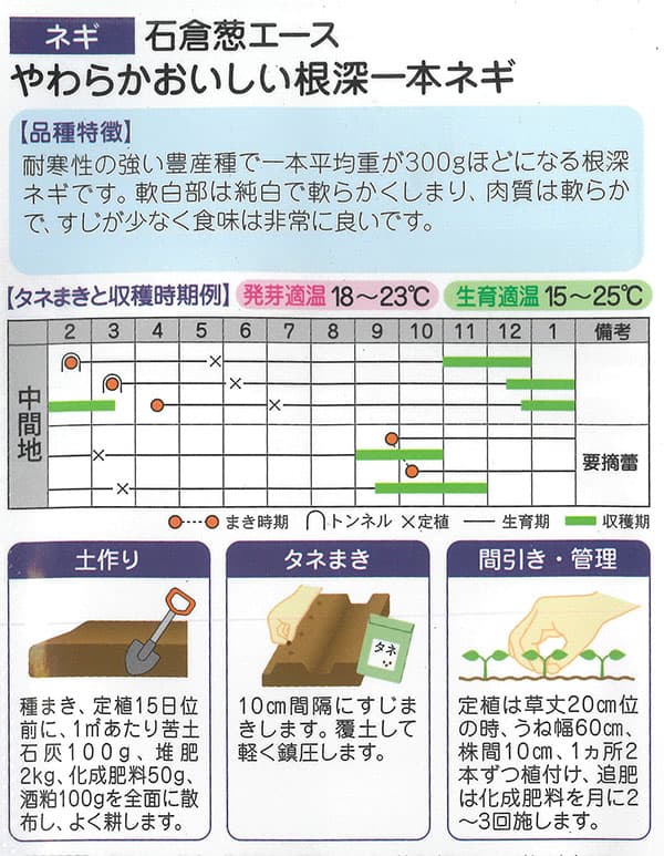 ネギ：やわらかおいしい 石倉ネギエース（いしくらねぎエース）[春・秋まき 野菜タネ]