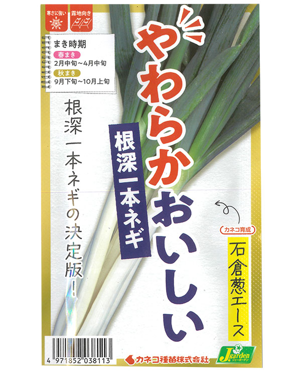 ネギ：やわらかおいしい 石倉ネギエース（いしくらねぎエース）[春・秋まき 野菜タネ]